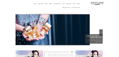 web-egypt-portfolio